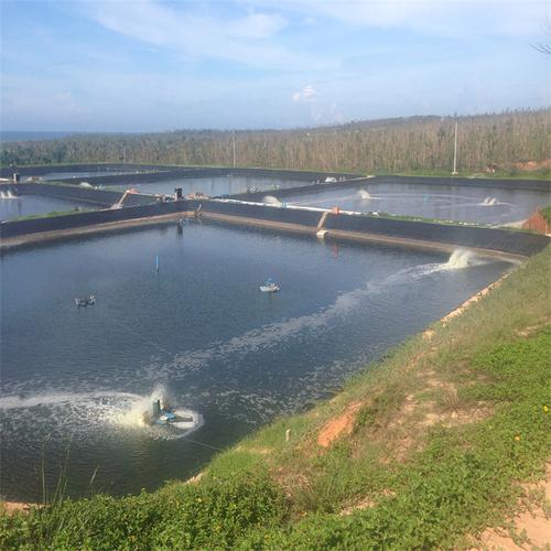 聚乙烯防渗膜适用园林:人工湖,河道,蓄水池,高尔夫球场的水塘底,护坡
